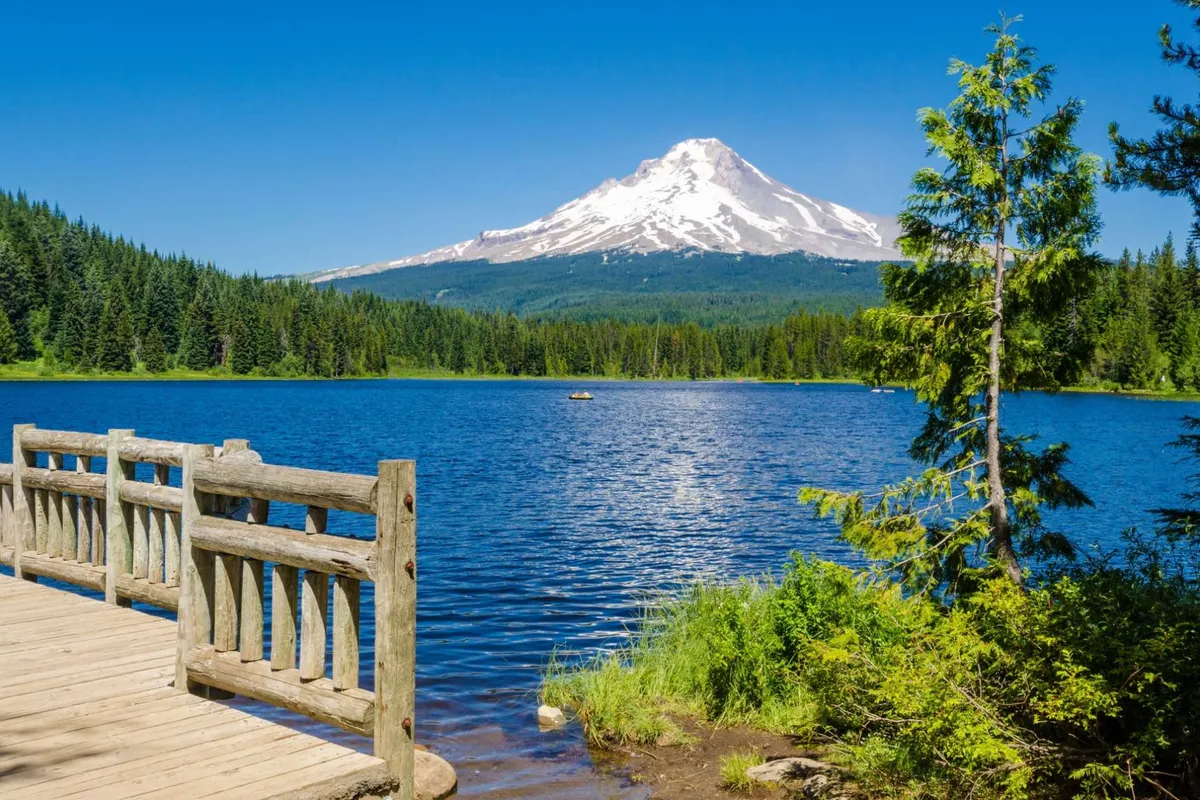 A scenic view of a mountain, lake, and wooded area, with a wooden bridge inviting exploration. The breathtaking landscape offers plentiful opportunities for hiking, nature walks, and outdoor fun with pets.