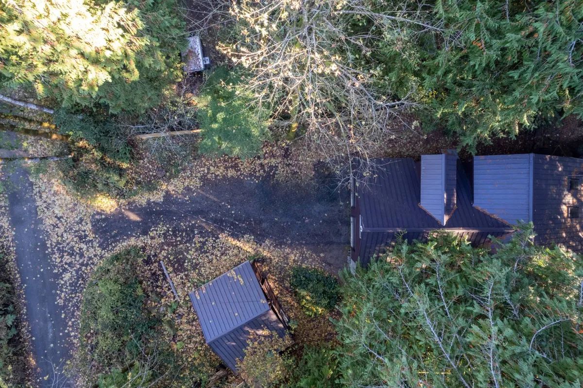 An elevated exterior view capturing a peaceful driveway winding under a dense tree canopy. The roofs of buildings are visible among scattered leaves, evoking a tranquil woodland setting ideal for nature walks or simply soaking in the forest atmosphere.